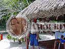 colombian women tour cartagena 0803 78