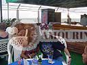 latin women tour cartagena 0803 1